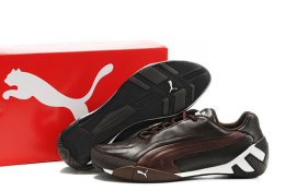 Puma Fluxion ii Shoe Brown/Chocolate