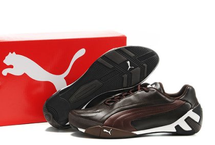 Puma Fluxion ii Shoe Brown/Chocolate