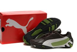 Men's Puma Fluxion ii Shoe Brown/White/Green