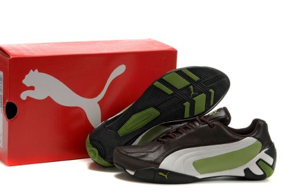 Puma Fluxion ii Shoe Brown/White/Green