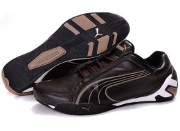 Men's Puma Fluxion Shoes Brown/Black